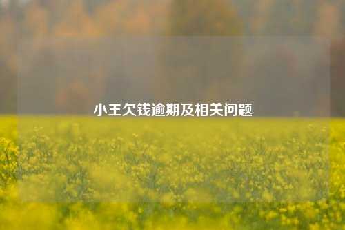 小王欠钱逾期及相关问题