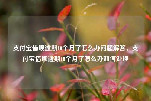 支付宝借呗逾期10个月了怎么办问题解答，支付宝借呗逾期10个月了怎么办如何处理