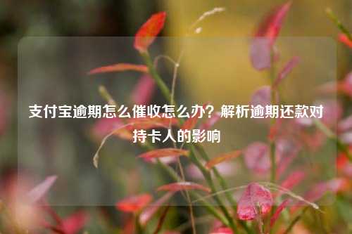 支付宝逾期怎么催收怎么办？解析逾期还款对持卡人的影响