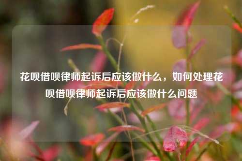 花呗借呗律师起诉后应该做什么，如何处理花呗借呗律师起诉后应该做什么问题