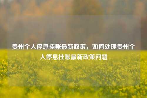 贵州个人停息挂账最新政策，如何处理贵州个人停息挂账最新政策问题