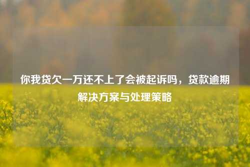 你我贷欠一万还不上了会被起诉吗，贷款逾期解决方案与处理策略