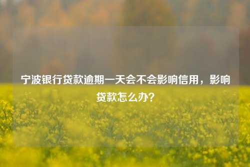 宁波银行贷款逾期一天会不会影响信用，影响贷款怎么办？