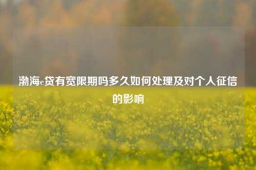 渤海e贷有宽限期吗多久如何处理及对个人征信的影响