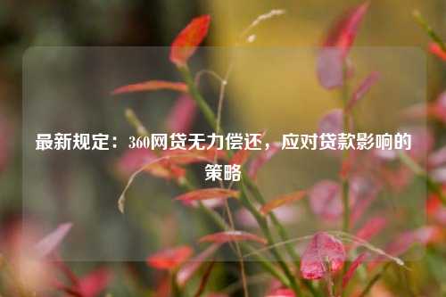 最新规定：360网贷无力偿还，应对贷款影响的策略