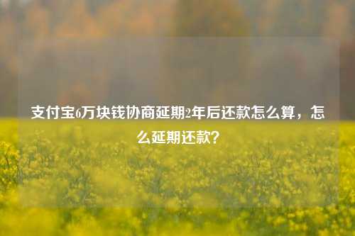 支付宝6万块钱协商延期2年后还款怎么算，怎么延期还款？