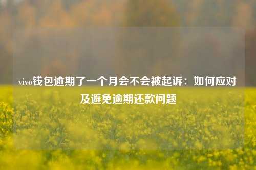 vivo钱包逾期了一个月会不会被起诉：如何应对及避免逾期还款问题