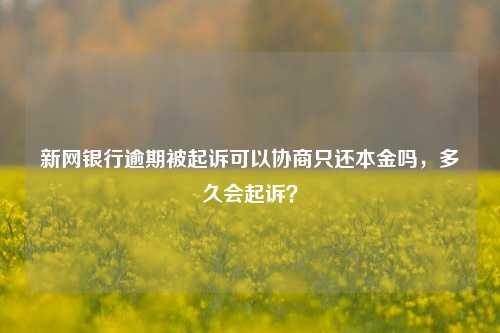 新网银行逾期被起诉可以协商只还本金吗，多久会起诉？