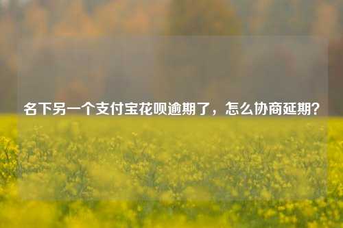 名下另一个支付宝花呗逾期了，怎么协商延期？