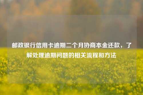 邮政银行信用卡逾期二个月协商本金还款，了解处理逾期问题的相关流程和方法