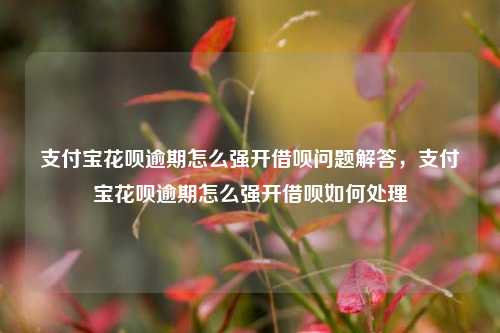 支付宝花呗逾期怎么强开借呗问题解答，支付宝花呗逾期怎么强开借呗如何处理