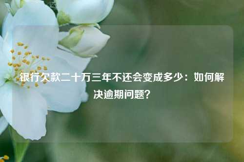 银行欠款二十万三年不还会变成多少：如何解决逾期问题？