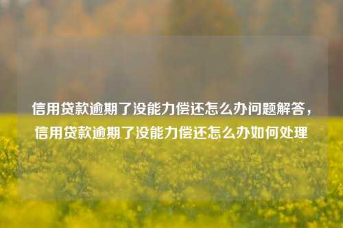 信用贷款逾期了没能力偿还怎么办问题解答，信用贷款逾期了没能力偿还怎么办如何处理