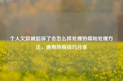 个人欠款被起诉了会怎么样处理协商和处理方法，逾期协商技巧分享