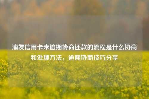 浦发信用卡未逾期协商还款的流程是什么协商和处理方法，逾期协商技巧分享