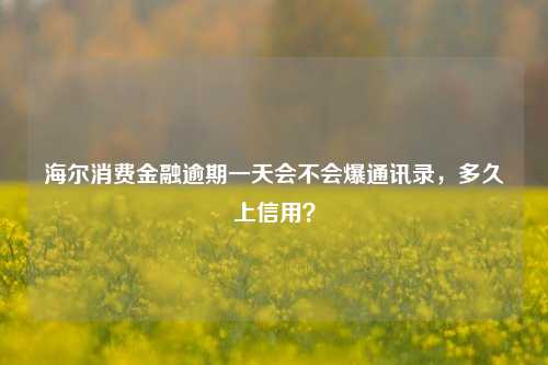 海尔消费金融逾期一天会不会爆通讯录，多久上信用？