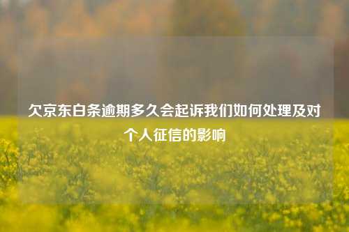 欠京东白条逾期多久会起诉我们如何处理及对个人征信的影响