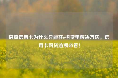 招商信用卡为什么只能在e招贷里解决方法，信用卡网贷逾期必看！