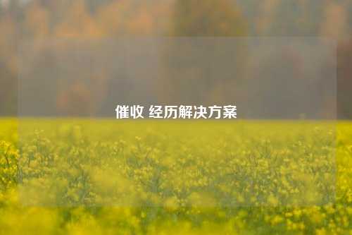 催收 经历解决方案