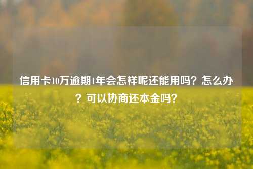 信用卡10万逾期1年会怎样呢还能用吗？怎么办？可以协商还本金吗？