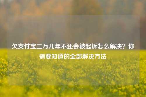 欠支付宝三万几年不还会被起诉怎么解决？你需要知道的全部解决方法