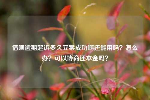 借呗逾期起诉多久立案成功啊还能用吗？怎么办？可以协商还本金吗？