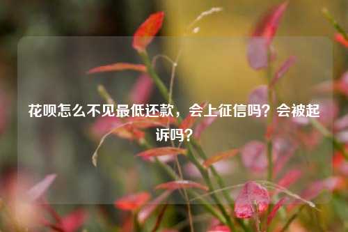 花呗怎么不见最低还款，会上征信吗？会被起诉吗？