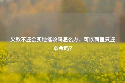 欠款不还会实地催收吗怎么办，可以商量只还本金吗？