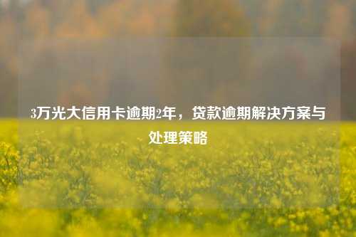 3万光大信用卡逾期2年，贷款逾期解决方案与处理策略