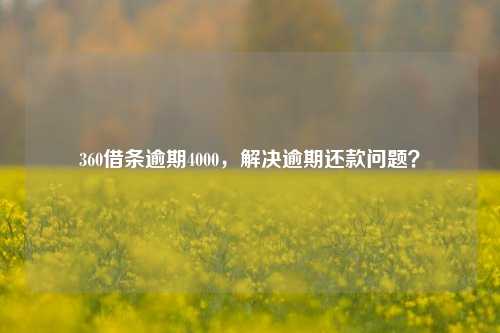 360借条逾期4000，解决逾期还款问题？