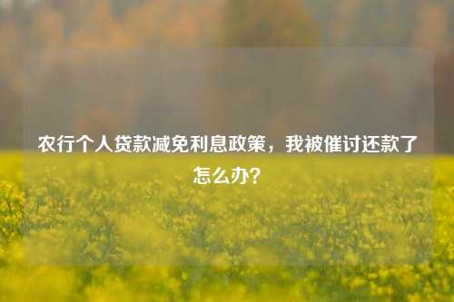 农行个人贷款减免利息政策，我被催讨还款了怎么办？