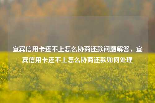 宜宾信用卡还不上怎么协商还款问题解答，宜宾信用卡还不上怎么协商还款如何处理