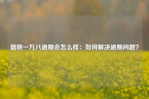 借呗一万八逾期会怎么样：如何解决逾期问题？