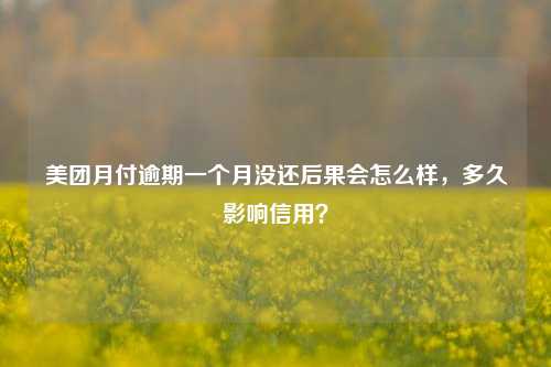 美团月付逾期一个月没还后果会怎么样，多久影响信用？