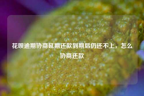 花呗逾期协商延期还款到期后仍还不上，怎么协商还款