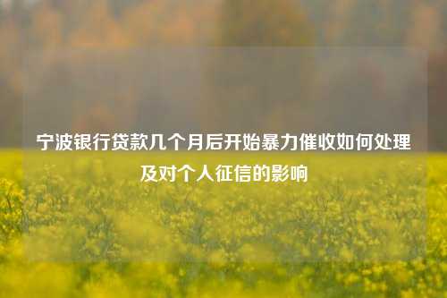 宁波银行贷款几个月后开始暴力催收如何处理及对个人征信的影响