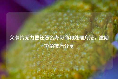 欠卡片无力偿还怎么办协商和处理方法，逾期协商技巧分享