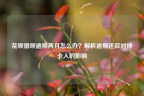 花呗借呗逾期两月怎么办？解析逾期还款对持卡人的影响