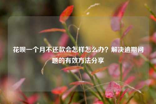 花呗一个月不还款会怎样怎么办？解决逾期问题的有效方法分享