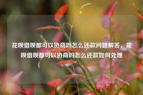 花呗借呗都可以协商吗怎么还款问题解答，花呗借呗都可以协商吗怎么还款如何处理