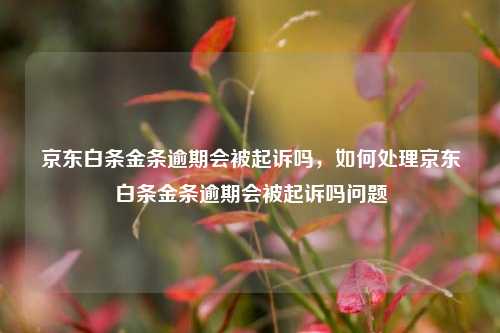 京东白条金条逾期会被起诉吗，如何处理京东白条金条逾期会被起诉吗问题