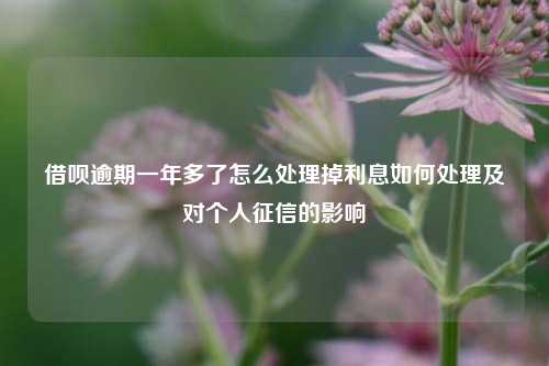 借呗逾期一年多了怎么处理掉利息如何处理及对个人征信的影响