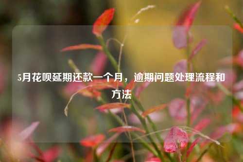 5月花呗延期还款一个月，逾期问题处理流程和方法