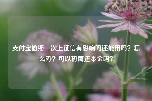 支付宝逾期一次上征信有影响吗还能用吗？怎么办？可以协商还本金吗？