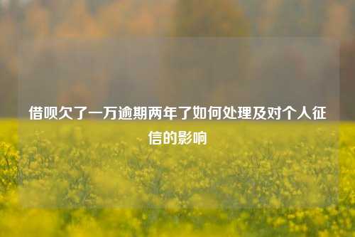 借呗欠了一万逾期两年了如何处理及对个人征信的影响