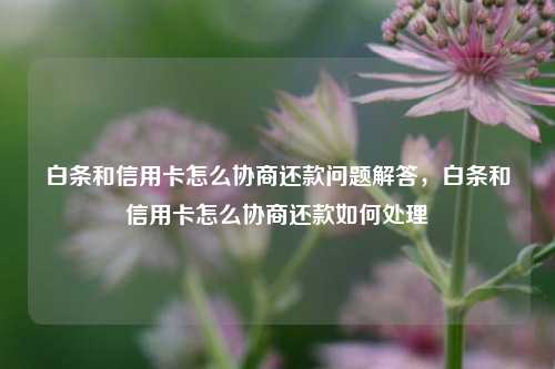 白条和信用卡怎么协商还款问题解答，白条和信用卡怎么协商还款如何处理