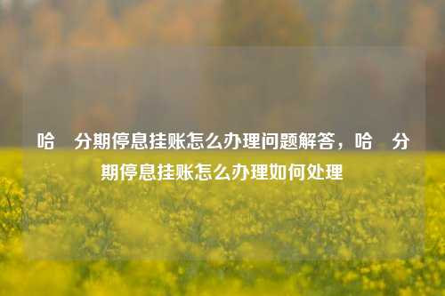 哈啰分期停息挂账怎么办理问题解答，哈啰分期停息挂账怎么办理如何处理