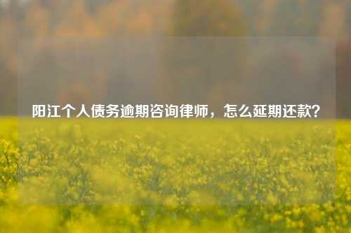 阳江个人债务逾期咨询律师，怎么延期还款？