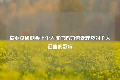 微业贷逾期会上个人征信吗如何处理及对个人征信的影响