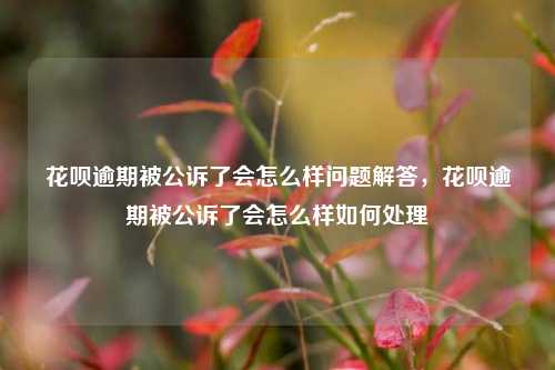 花呗逾期被公诉了会怎么样问题解答，花呗逾期被公诉了会怎么样如何处理